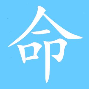 命 同音字|命（汉语文字）